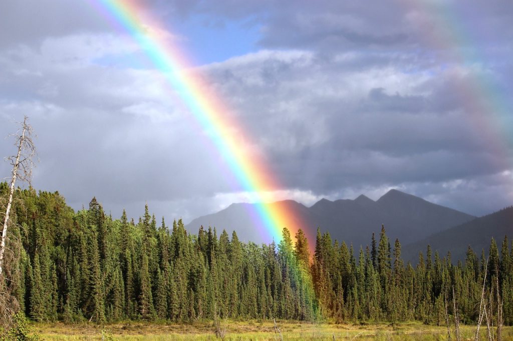 rainbow, bow, rainbow colors-436183.jpg